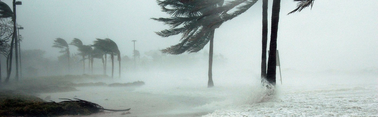 Hurricane Preparedness